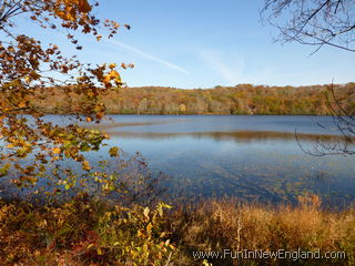 Chester Cedar Lake