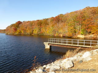 Chester Pattaconk Recreation Area (Cockaponset State Forest)