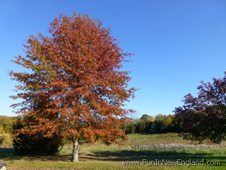 East Haddam Machimoodus State Park