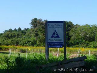 Barnstable Long Pasture Wildlife Sanctuary