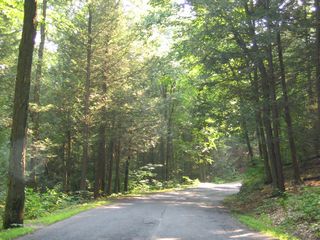 Holyoke Mount Tom State Reservation