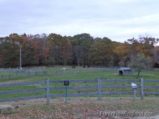 Petersham Fisher Museum at Harvard Forest