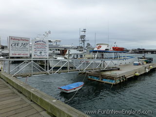 Provincetown Cee Jay Fishing