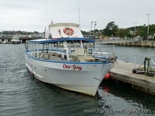 Provincetown Cee Jay Fishing