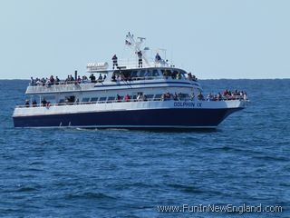 Provincetown Dolphin Fleet of Provincetown