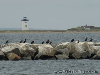 Provincetown Long Point Light