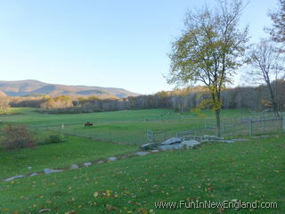 Williamstown Sweet Brook Farm